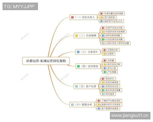 体育品牌营销案例分析与启示探讨企业发展战略路径